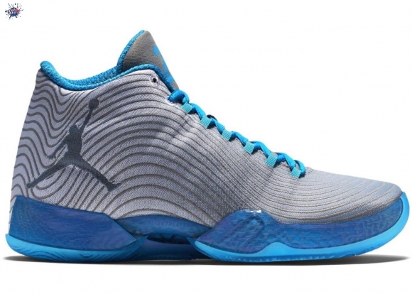 Meilleures Air Jordan 29 "Playoff Pack Home" Gris Bleu (749143-104)