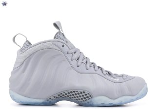 Meilleures Nike Air Foamposite One Prm Gris Blanc Gris (575420-007)